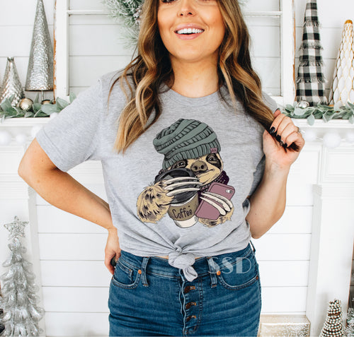 Winter Sloth Transfer